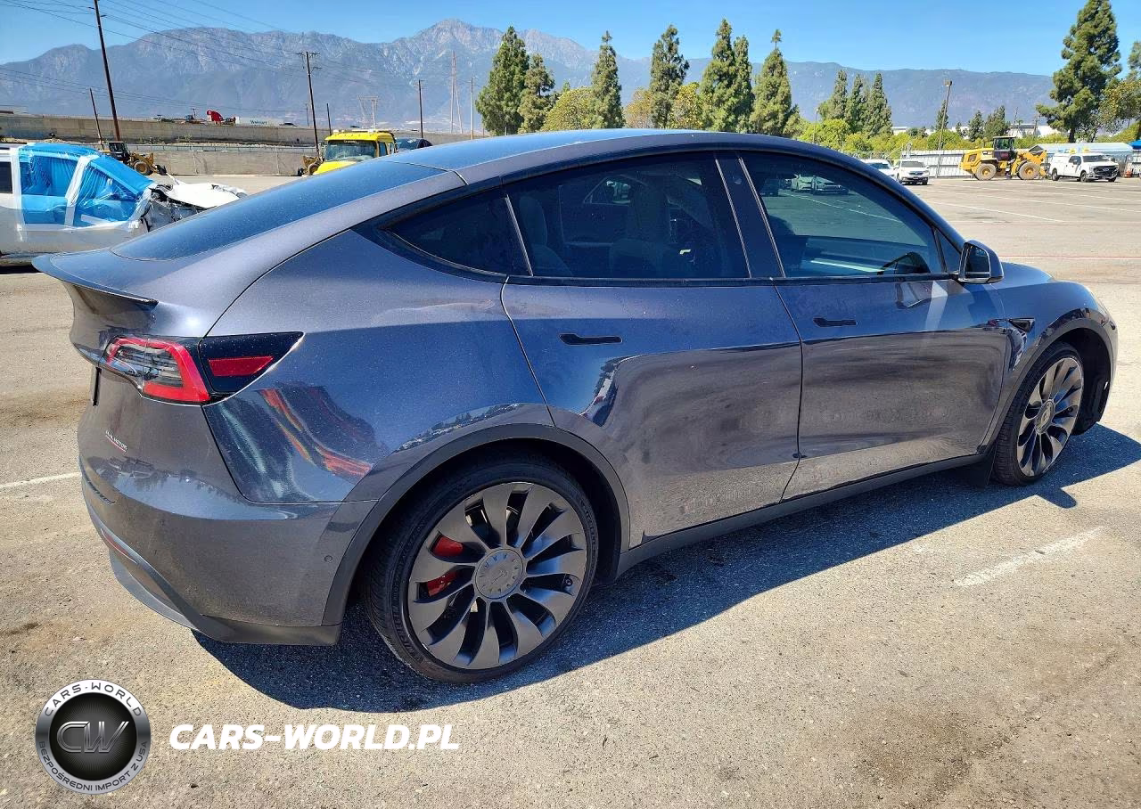 2022 Tesla Model Y VIN:7SAYGDEF9NF546357 - 3