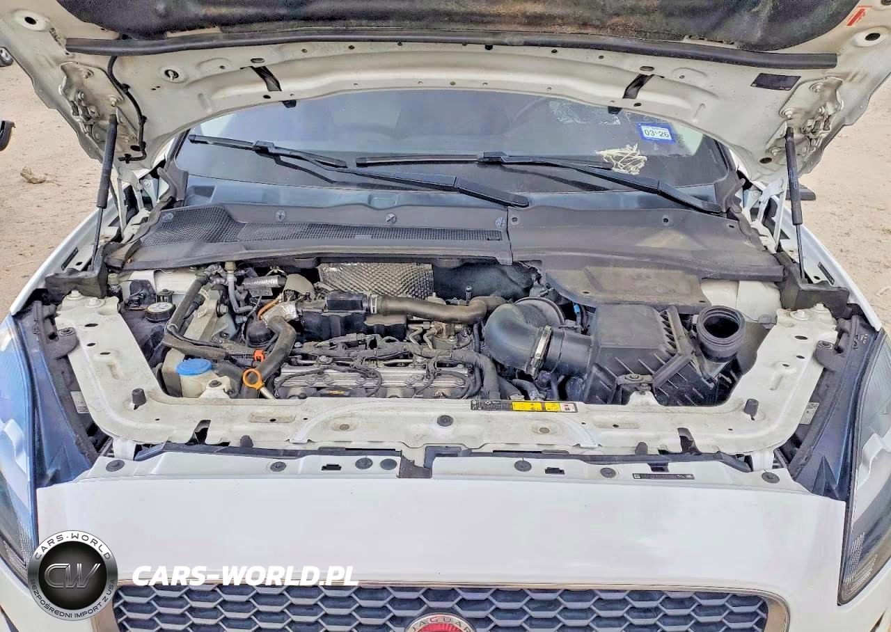 2019 Jaguar E-Pace S VIN:SADFJ2FX9K1Z62984 - 12