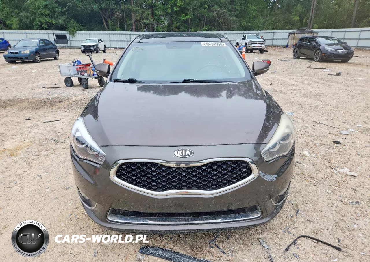 2014 Kia Cadenza Premium VIN:KNALN4D79E5126278 - 5