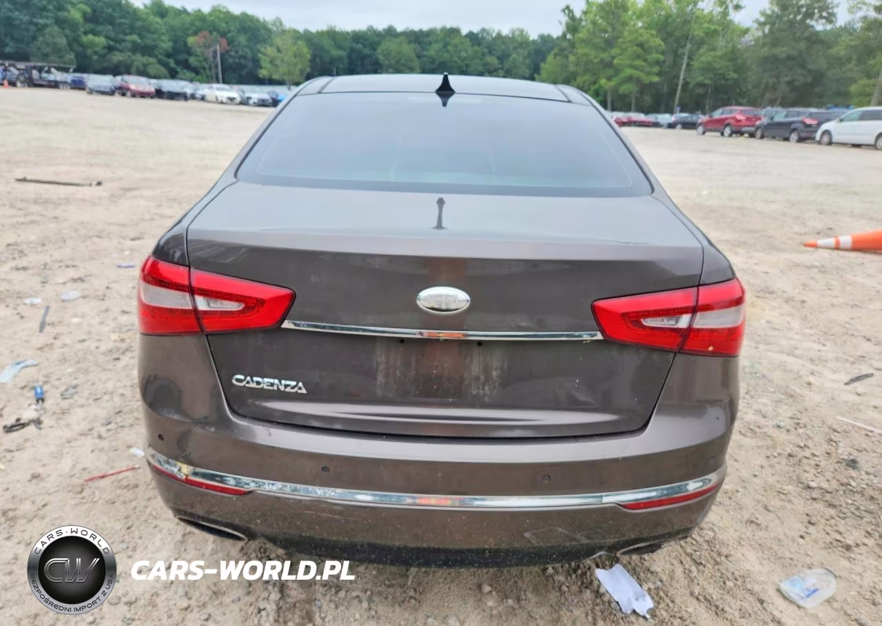 2014 Kia Cadenza Premium VIN:KNALN4D79E5126278 - 6