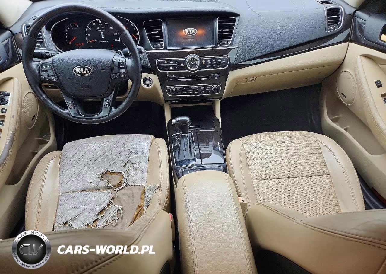 2014 Kia Cadenza Premium VIN:KNALN4D79E5126278 - 8