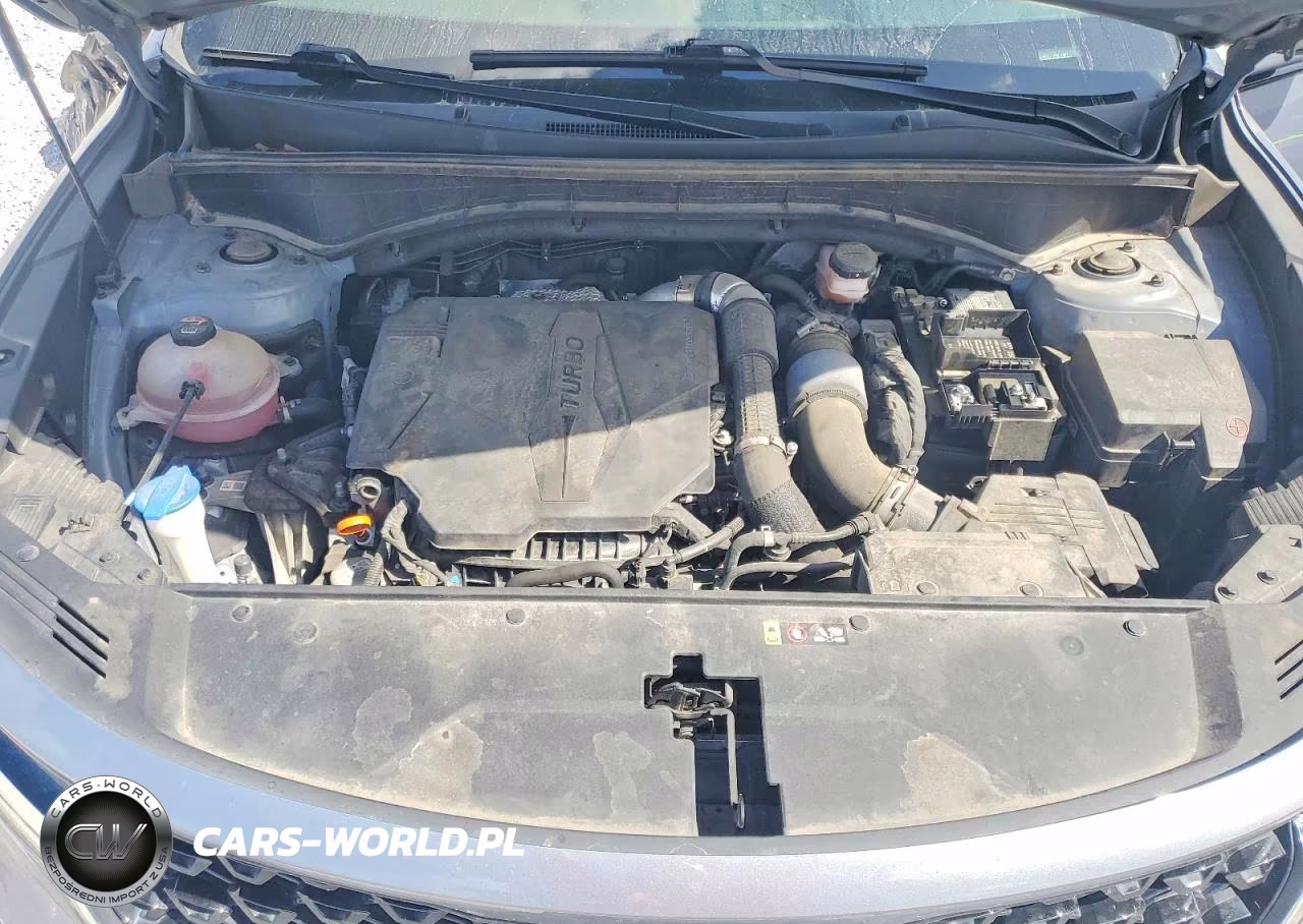 2023 Kia Sorento Sx VIN:5XYRKDLF1PG214007 - 12