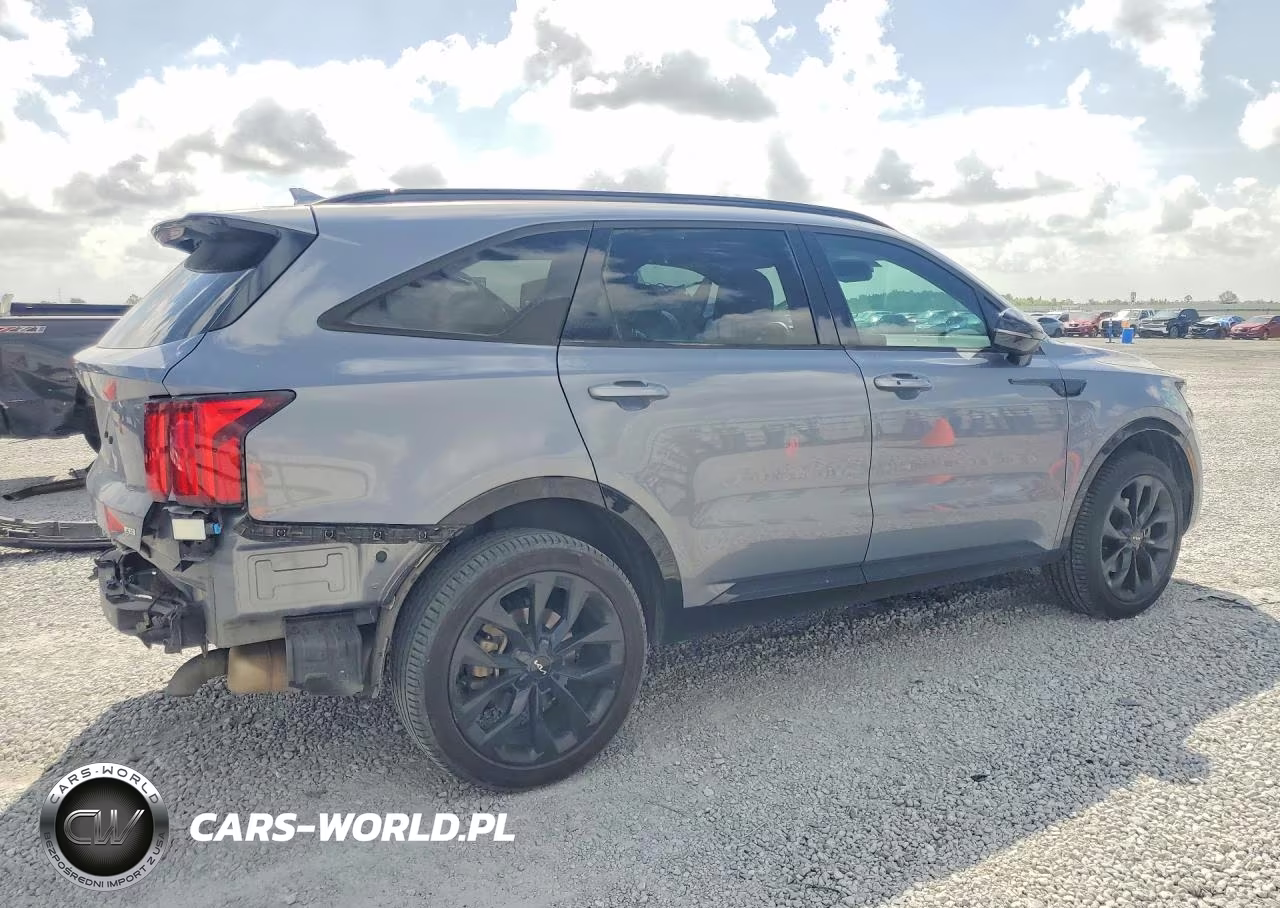 2023 Kia Sorento Sx VIN:5XYRKDLF1PG214007 - 3