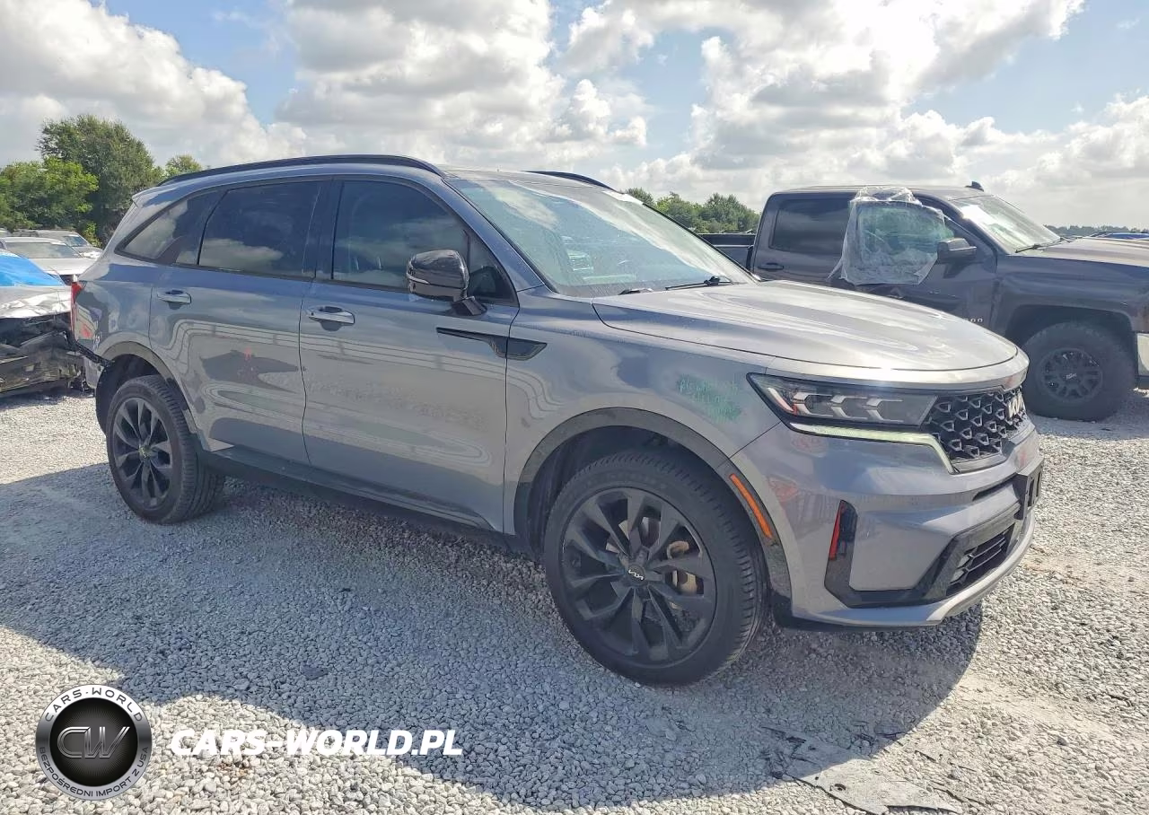 2023 Kia Sorento Sx VIN:5XYRKDLF1PG214007 - 4