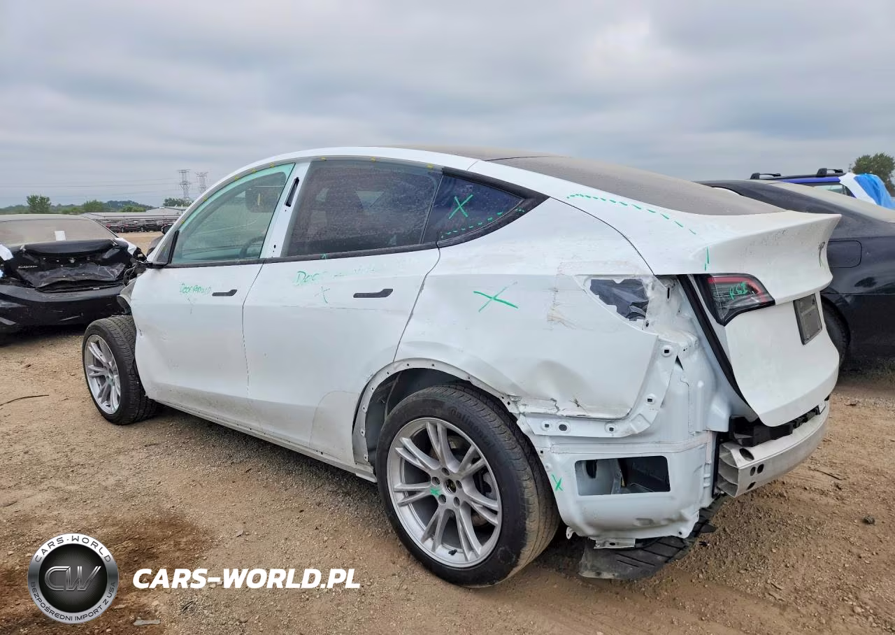 2024 Tesla Model Y VIN:7SAYGDEE0RA286490 - 2