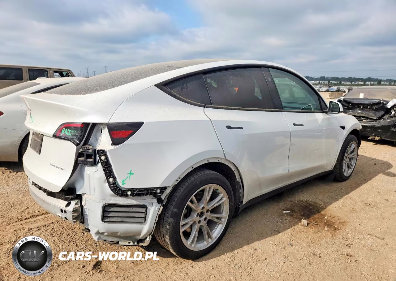 2024 Tesla Model Y VIN:7SAYGDEE0RA286490 - 3