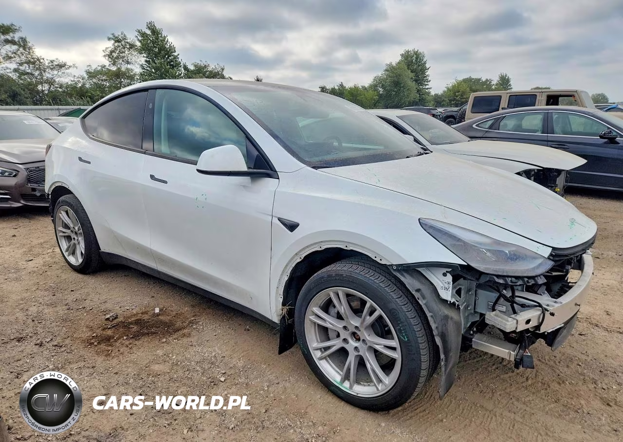 2024 Tesla Model Y VIN:7SAYGDEE0RA286490 - 4