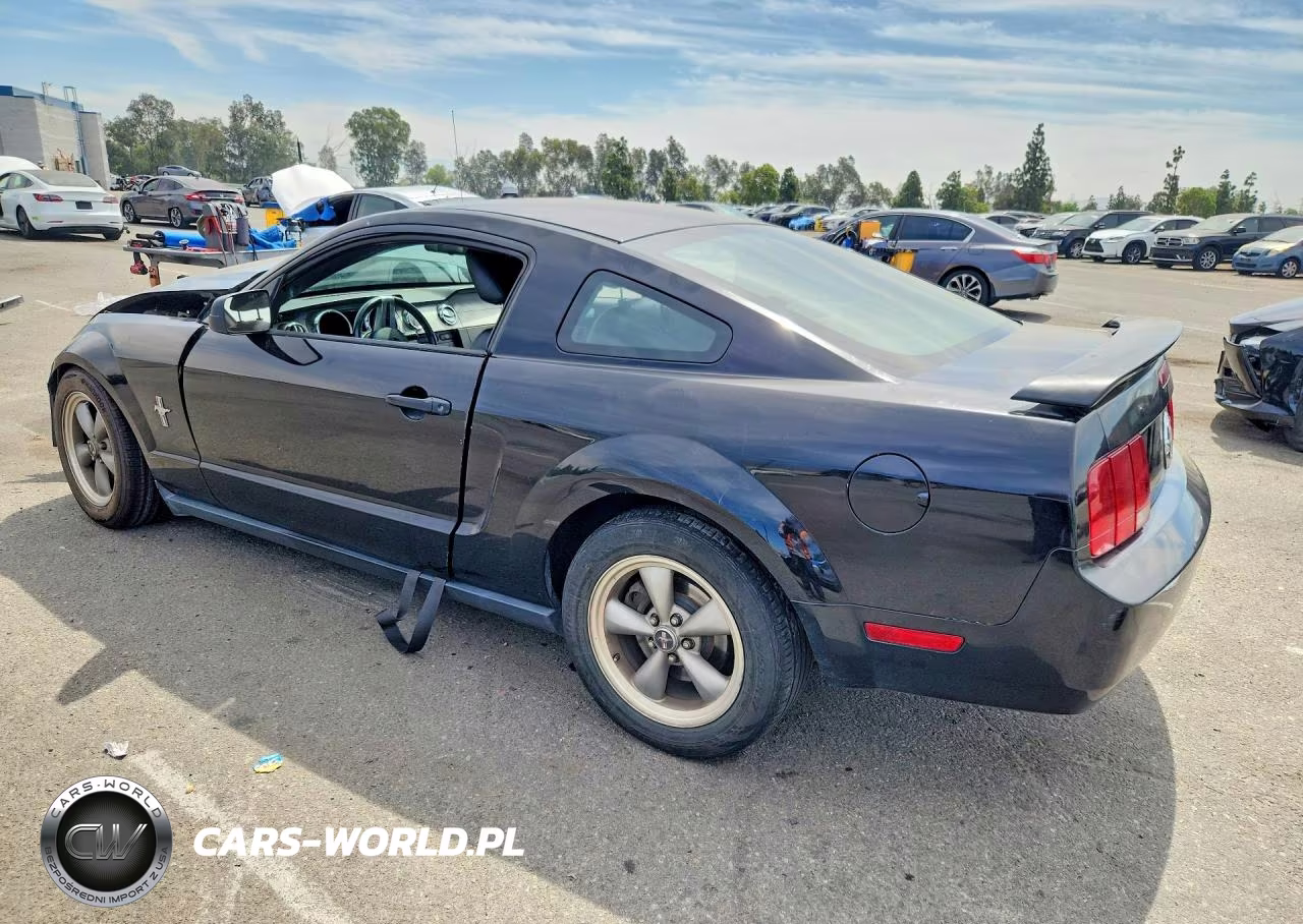 2006 Ford Mustang VIN:1ZVFT80N765109494 - 2