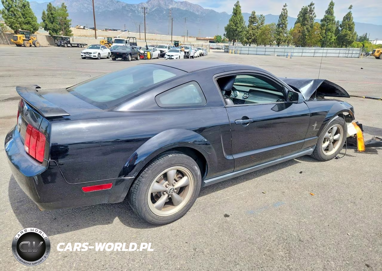 2006 Ford Mustang VIN:1ZVFT80N765109494 - 3