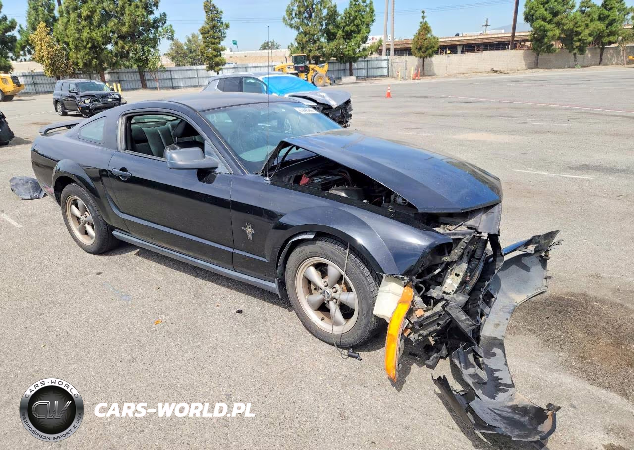 2006 Ford Mustang VIN:1ZVFT80N765109494 - 4