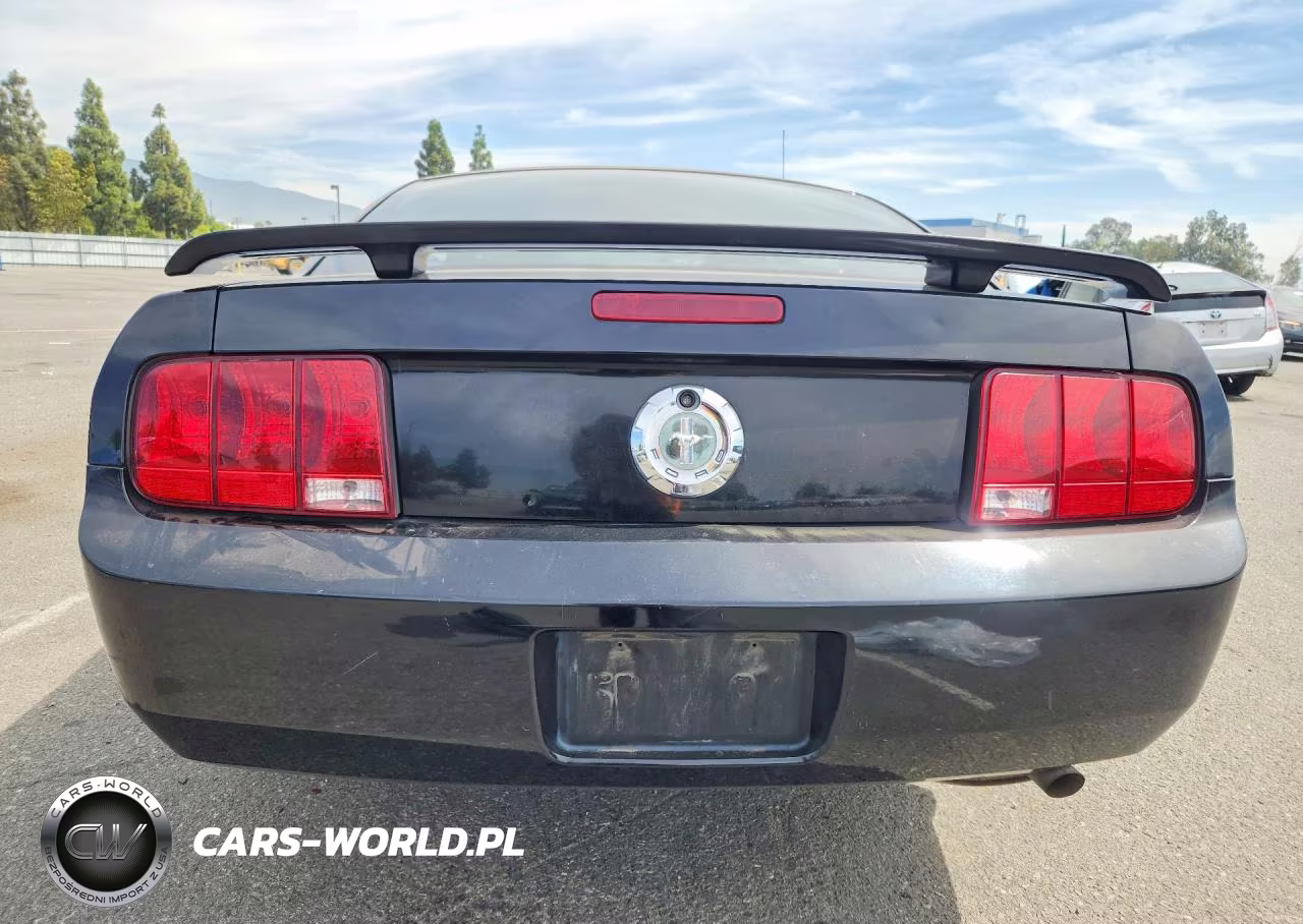 2006 Ford Mustang VIN:1ZVFT80N765109494 - 6