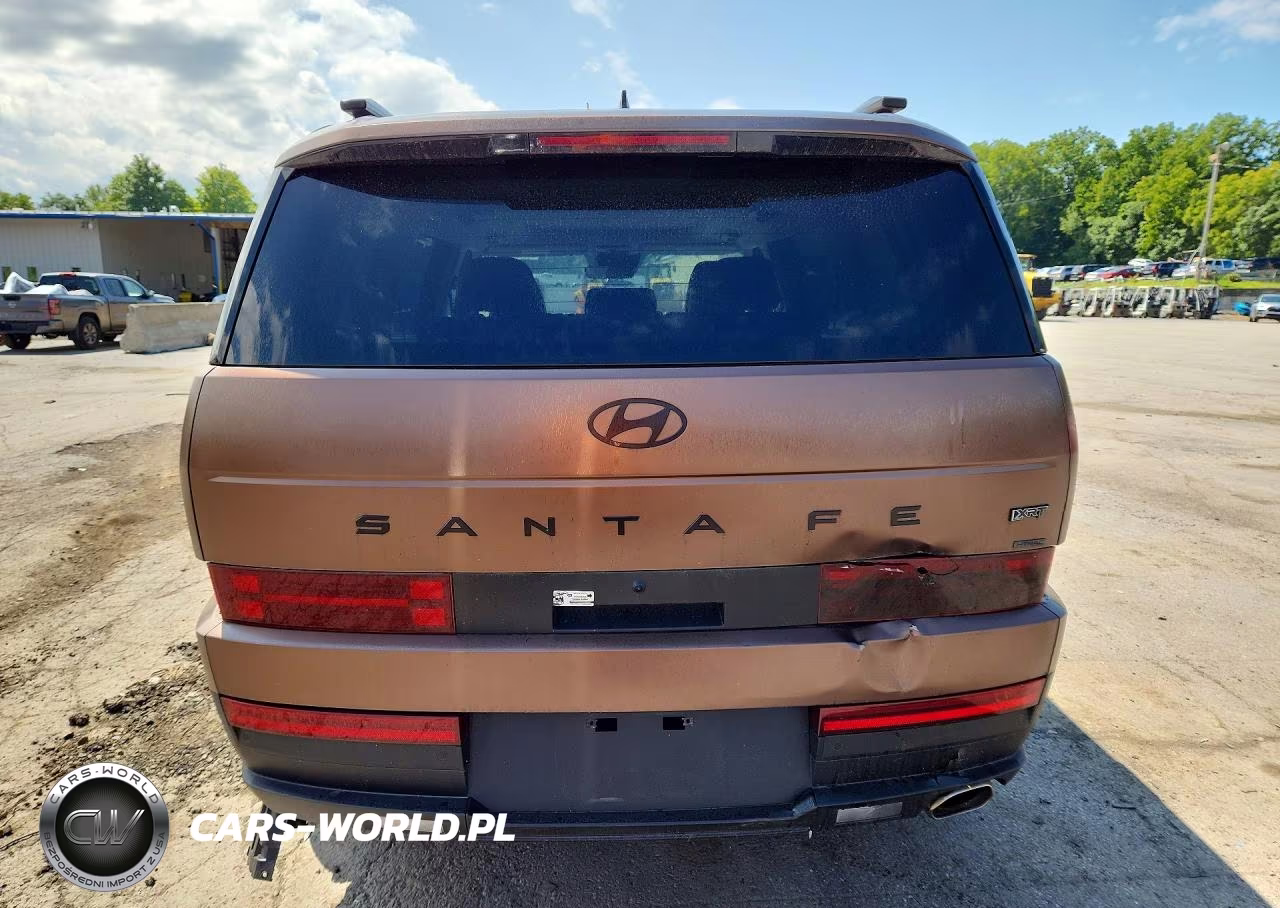 2025 Hyundai Santa Fe Xrt VIN:5NMP3DGL6SH116822 - 6