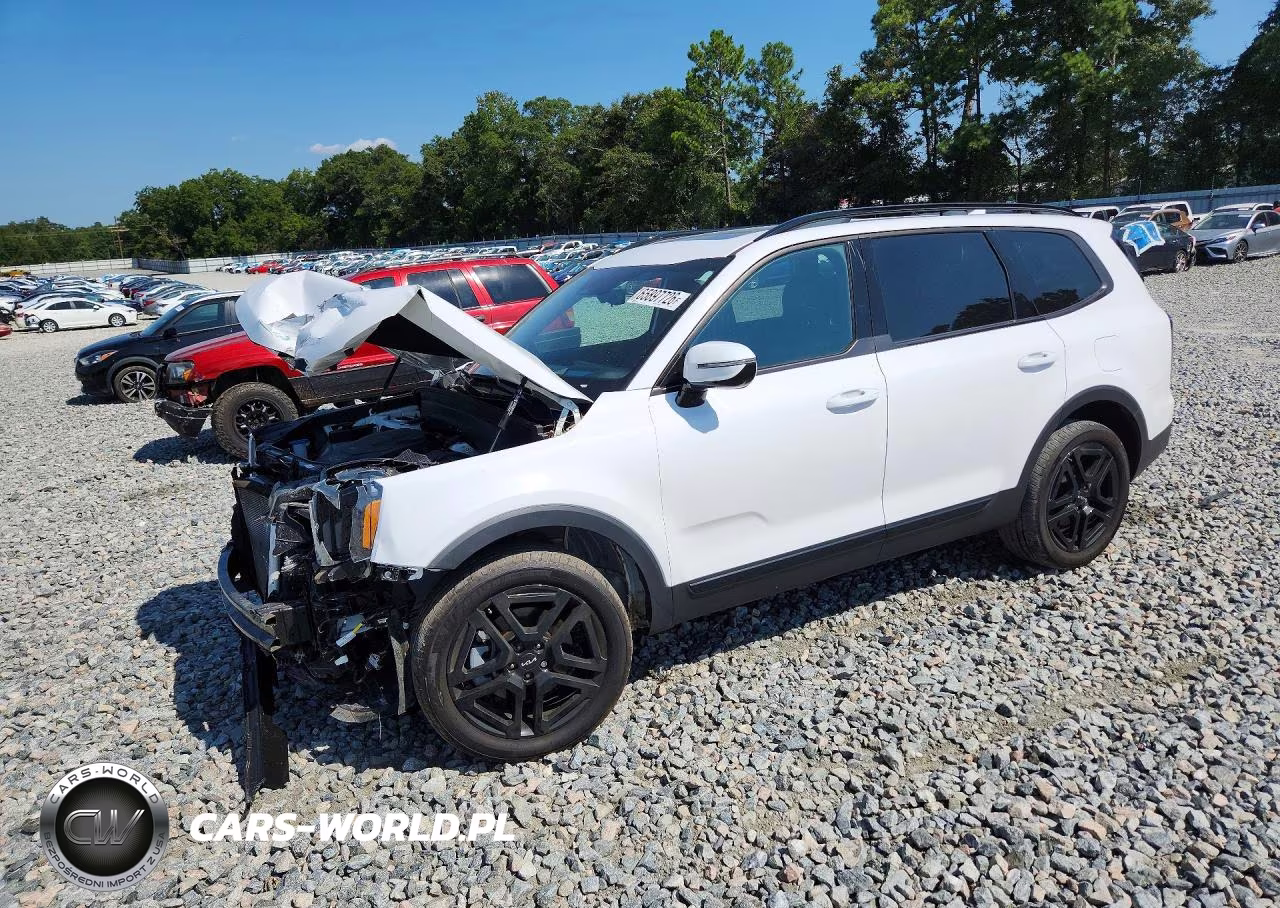 2024 Kia Telluride Sx-Prestige X-Line VIN:5XYP5DGC6RG534649 - 1