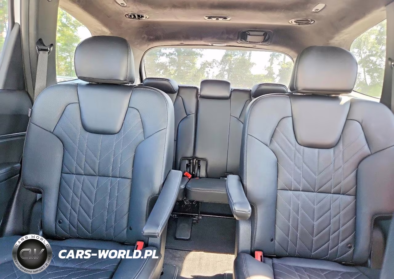 2024 Kia Telluride Sx-Prestige X-Line VIN:5XYP5DGC6RG534649 - 10