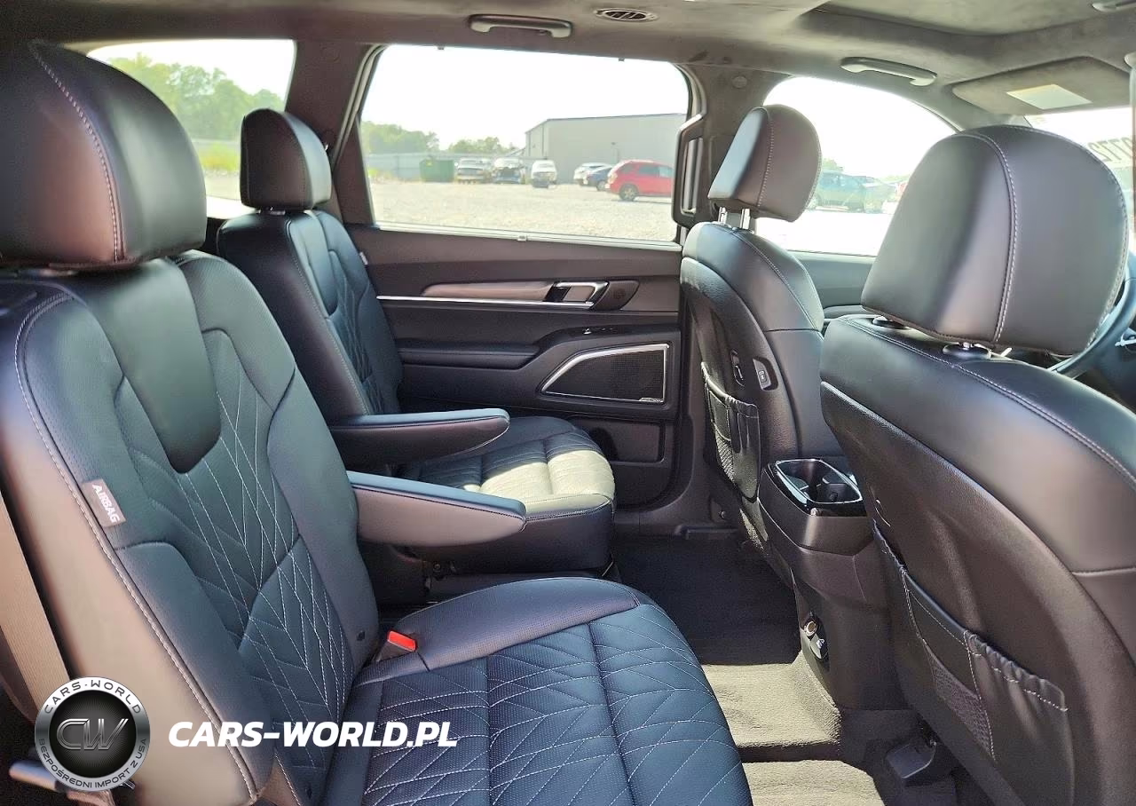 2024 Kia Telluride Sx-Prestige X-Line VIN:5XYP5DGC6RG534649 - 11