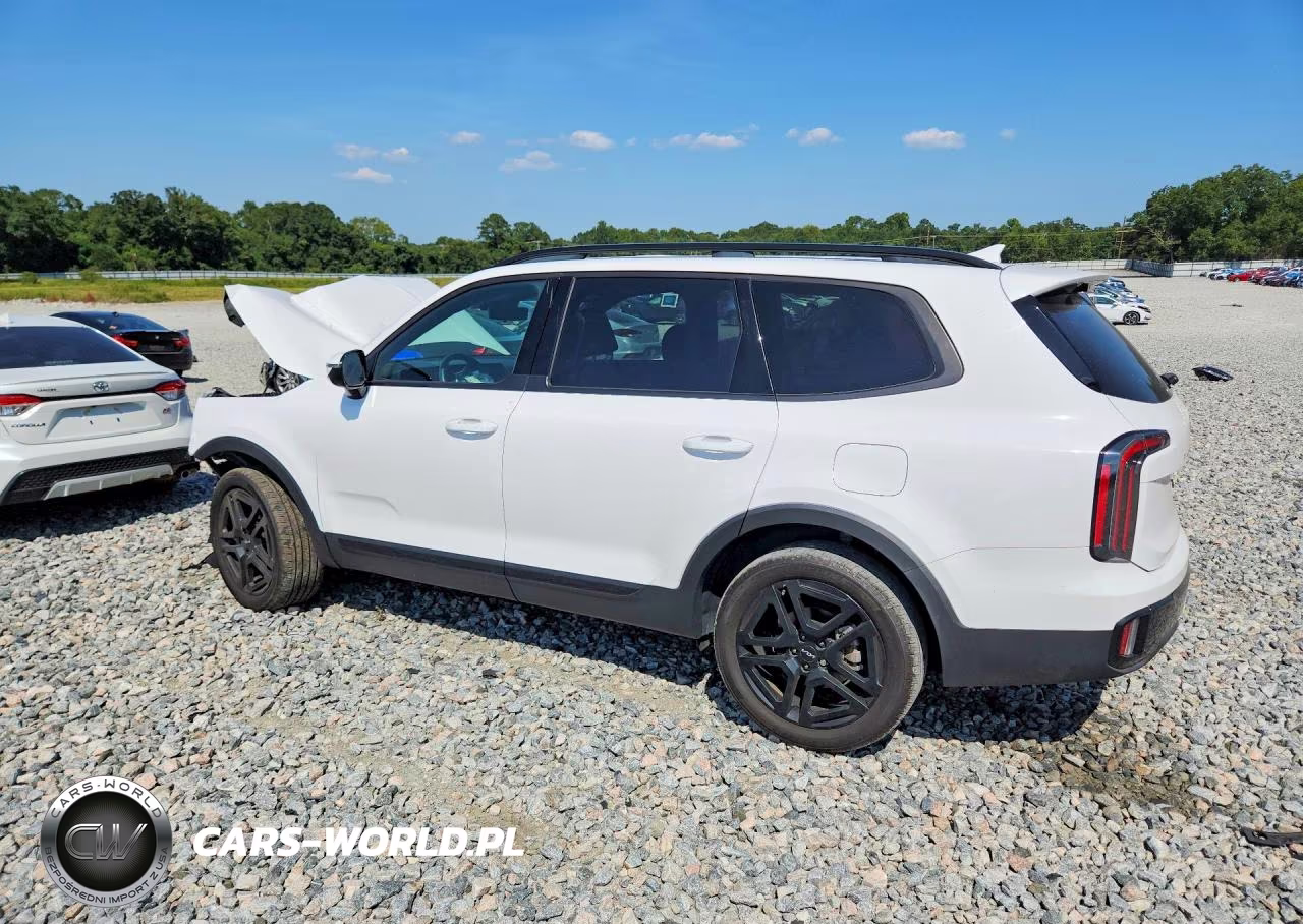 2024 Kia Telluride Sx-Prestige X-Line VIN:5XYP5DGC6RG534649 - 2