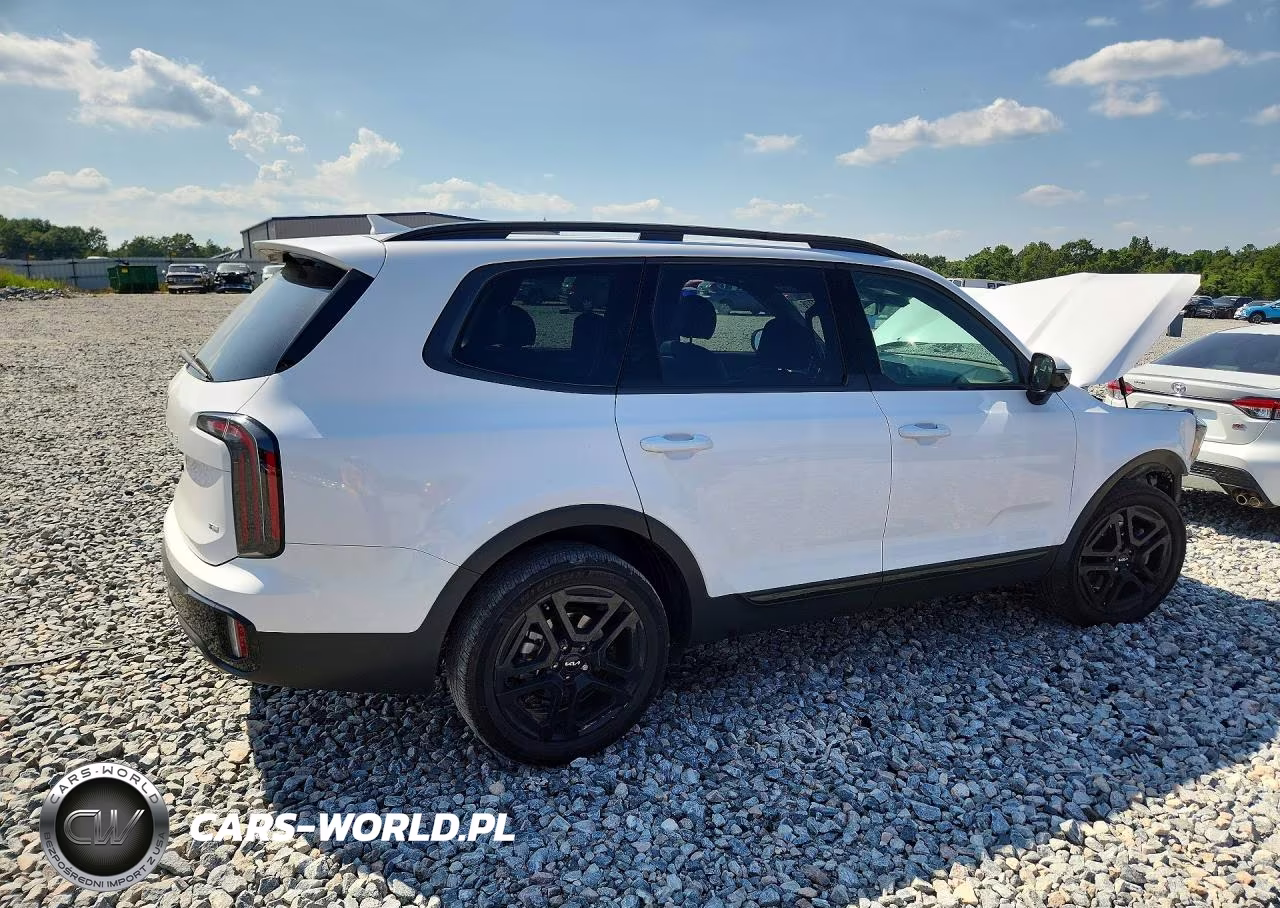 2024 Kia Telluride Sx-Prestige X-Line VIN:5XYP5DGC6RG534649 - 3