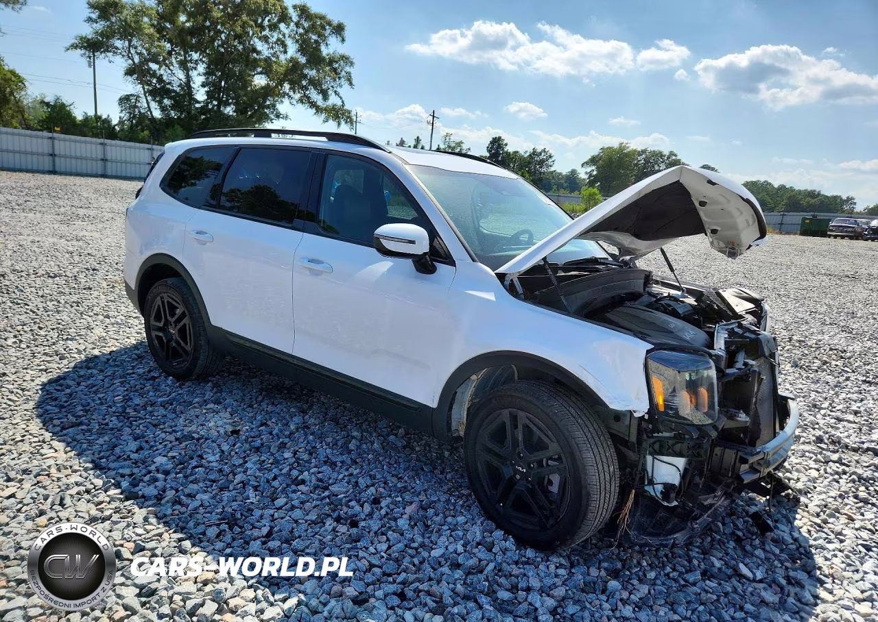 2024 Kia Telluride Sx-Prestige X-Line VIN:5XYP5DGC6RG534649 - 4