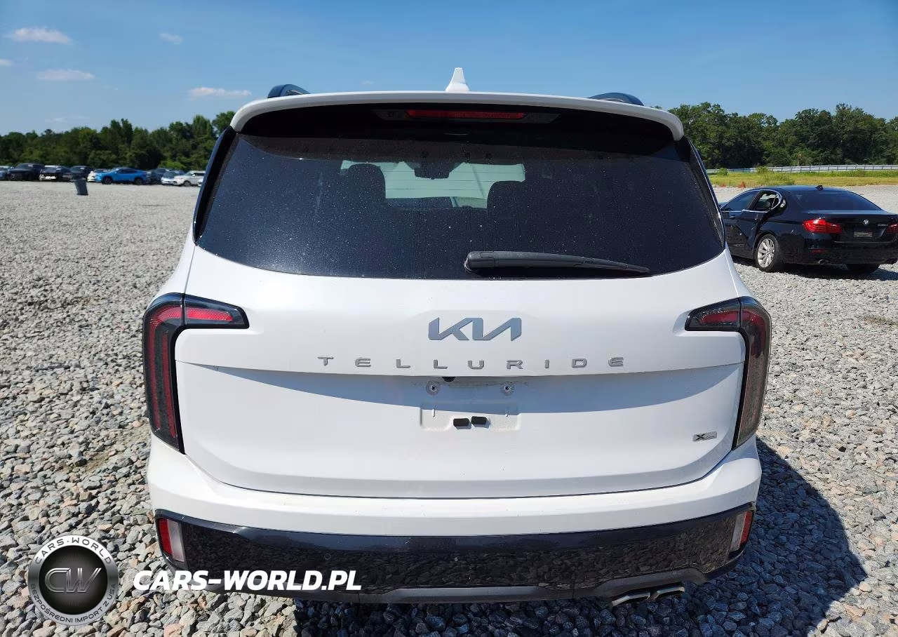 2024 Kia Telluride Sx-Prestige X-Line VIN:5XYP5DGC6RG534649 - 6
