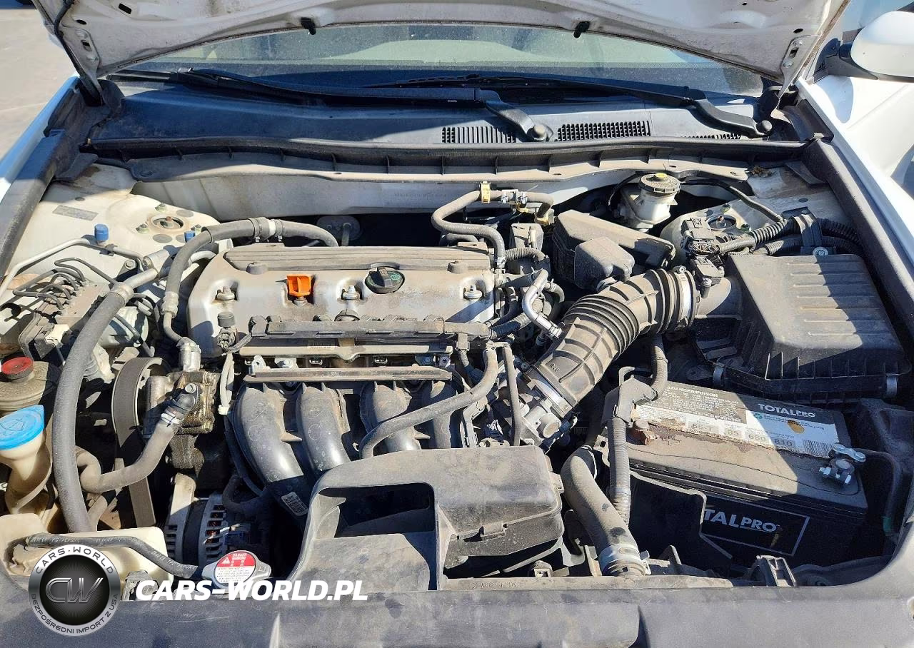 2010 Honda Accord Lxp VIN:1HGCP2F45AA113308 - 11