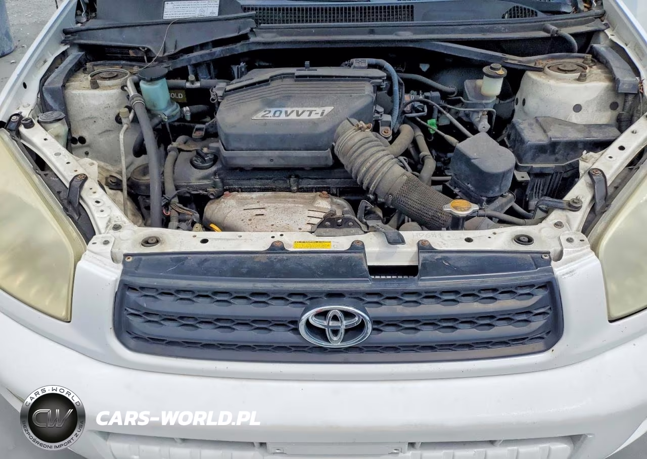 2002 Toyota Rav4 Base VIN:JTEGH20V720042632 - 11