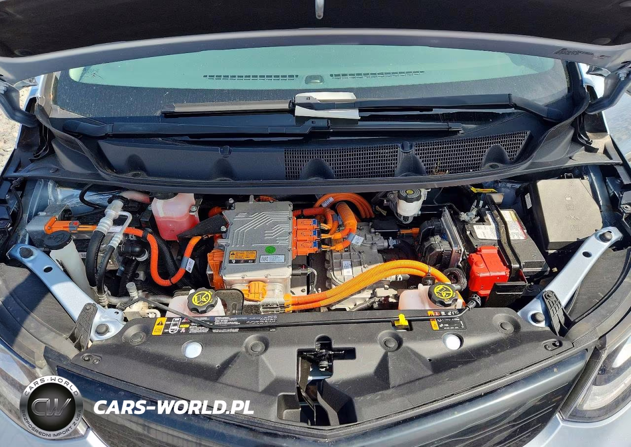 2018 Chevrolet Bolt Ev Lt VIN:1G1FW6S00J4135491 - 11