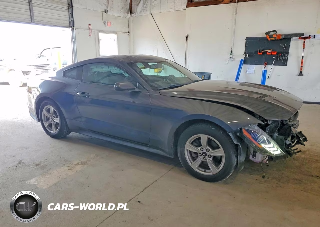 2020 Ford Mustang VIN:1FA6P8TH5L5132836 - 4