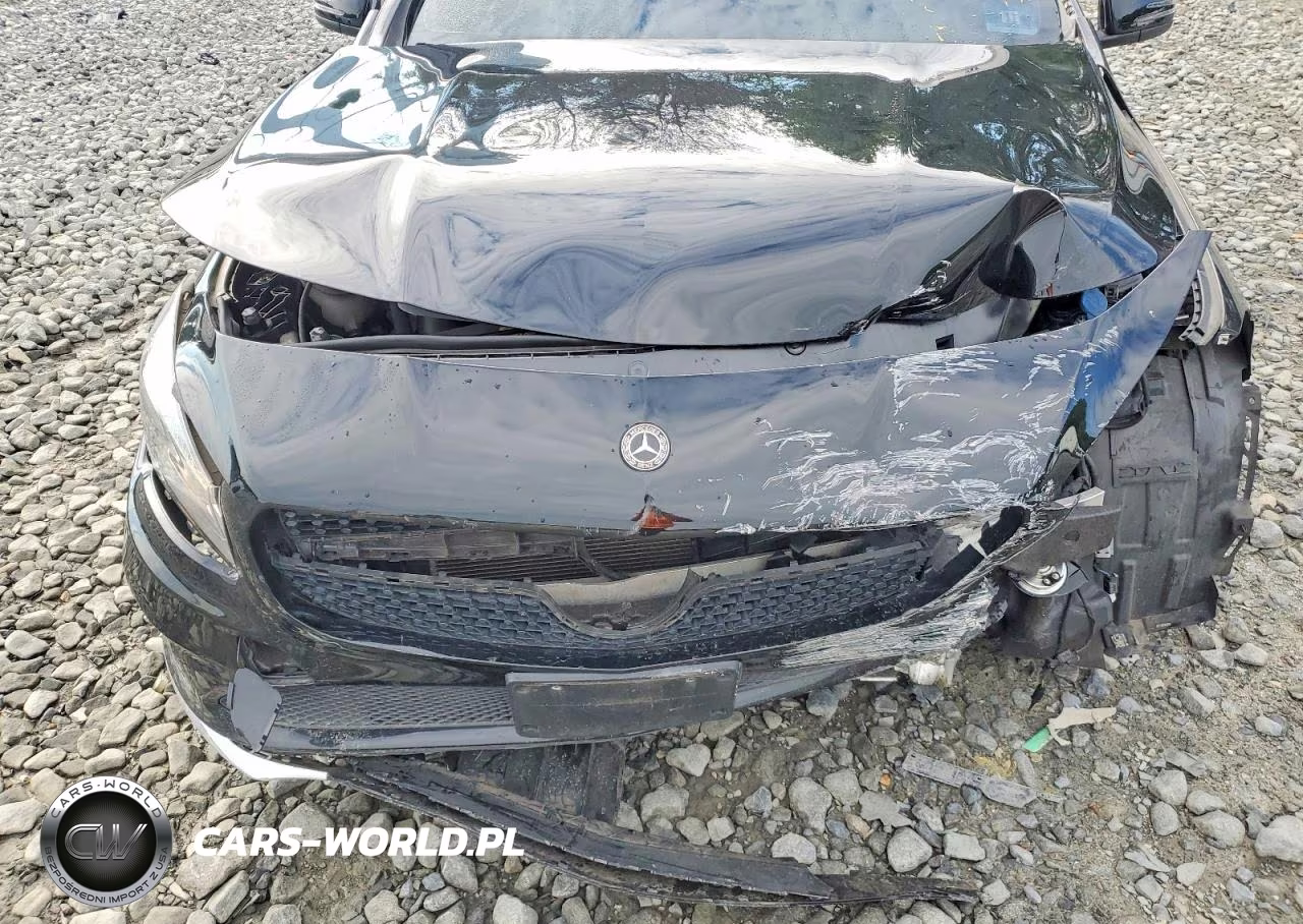 2019 Mercedes-Benz Cla 250 4Matic VIN:WDDSJ4GB9KN724205 - 11