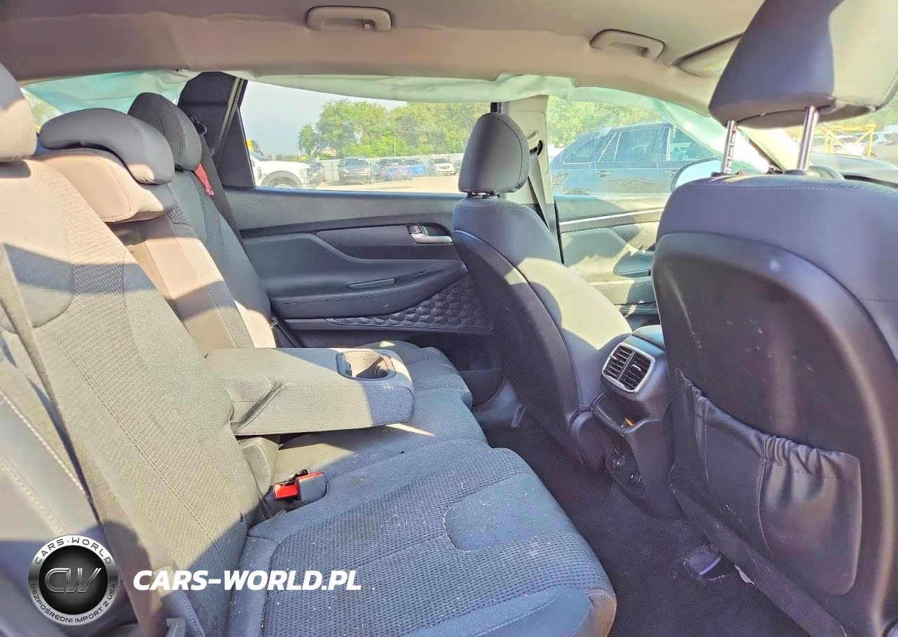 2019 Hyundai Santa Fe Sel 2.4L VIN:5NMS3CAD6KH036586 - 11