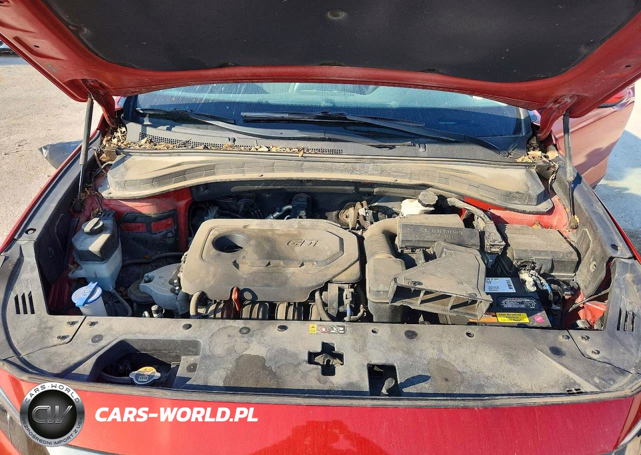 2019 Hyundai Santa Fe Sel 2.4L VIN:5NMS3CAD6KH036586 - 12