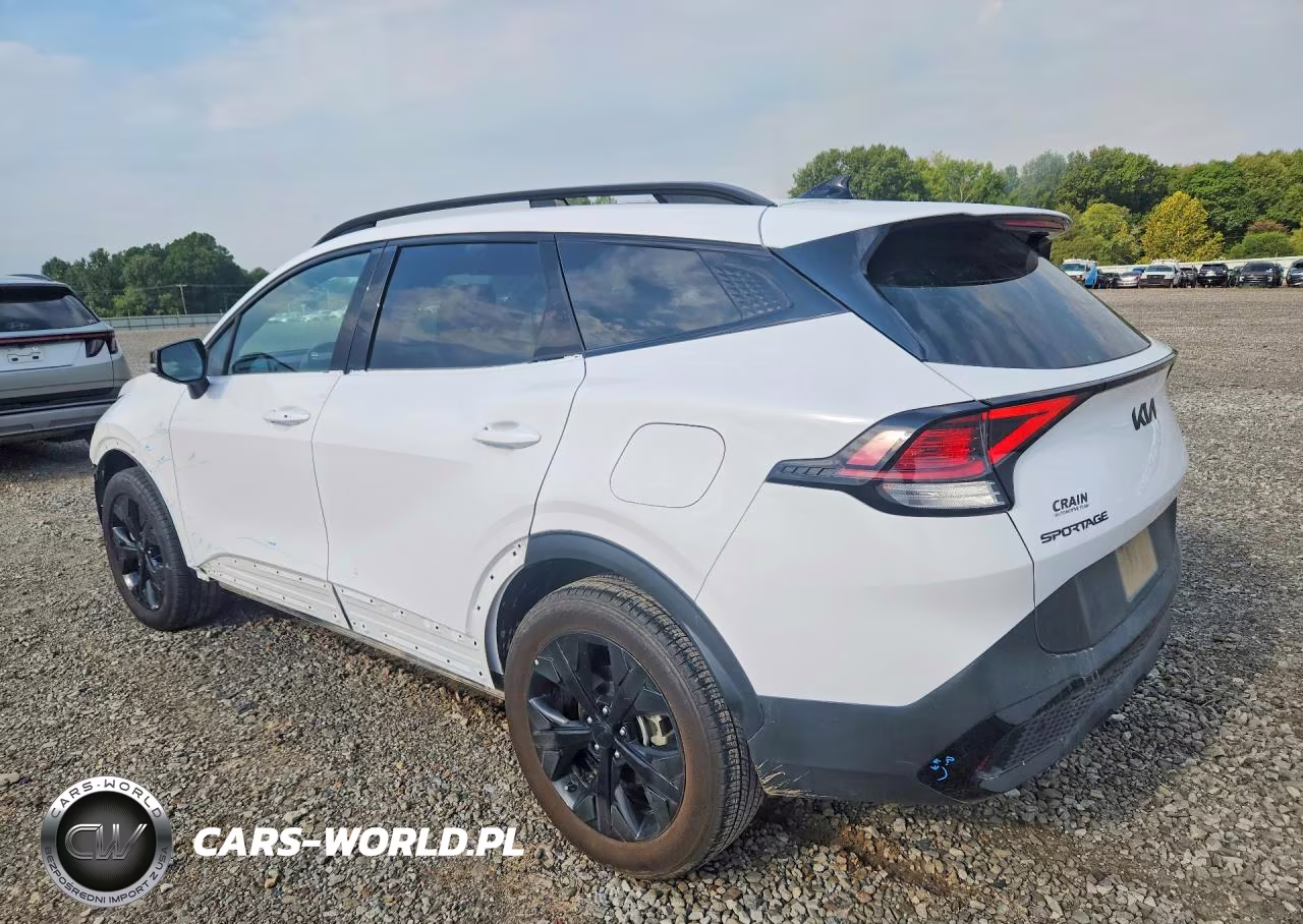 2025 Kia Sportage X Line VIN:5XYK6CDF2SG295851 - 2