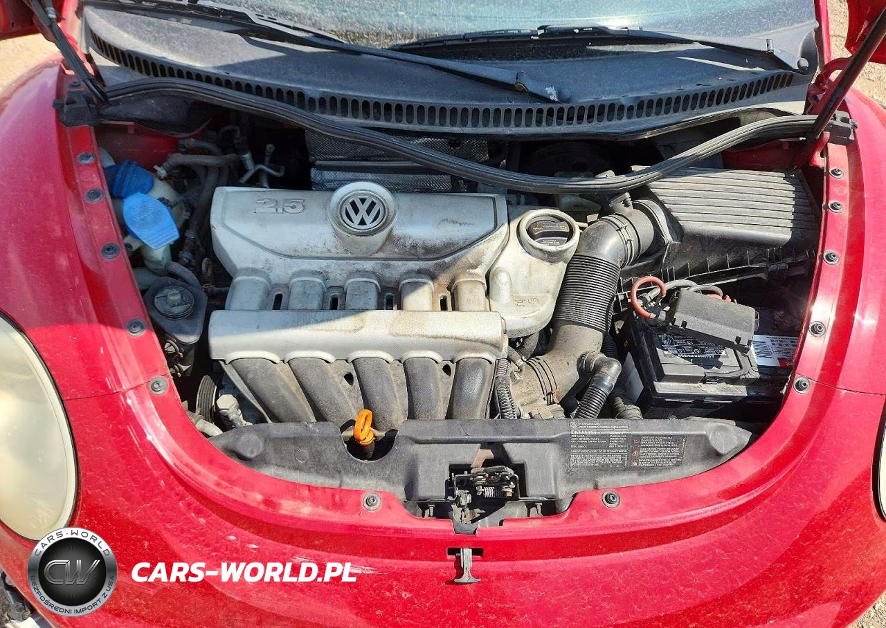 2008 Volkswagen New Beetle S VIN:3VWRW31C88M500719 - 11