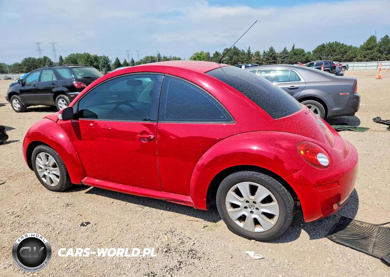 2008 Volkswagen New Beetle S VIN:3VWRW31C88M500719 - 2