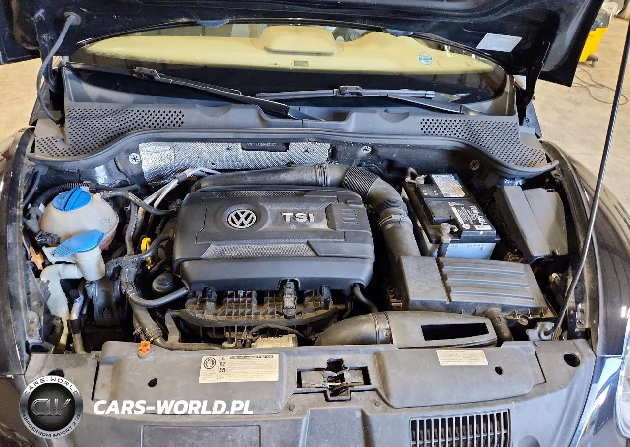 2013 Volkswagen Beetle Turbo VIN:3VW7T7AT5DM821277 - 11