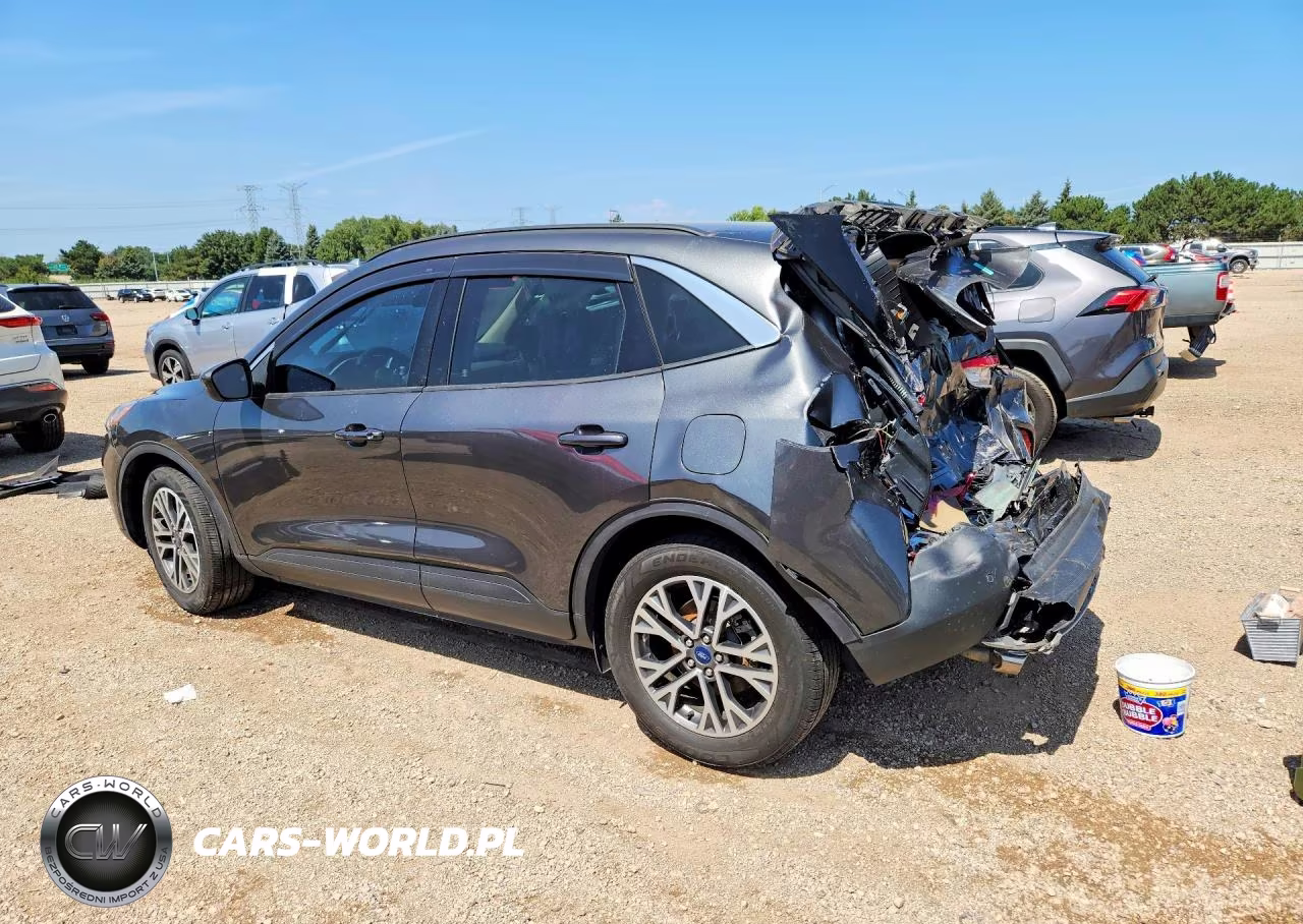 2020 Ford Escape Sel VIN:1FMCU0H66LUB14474 - 2