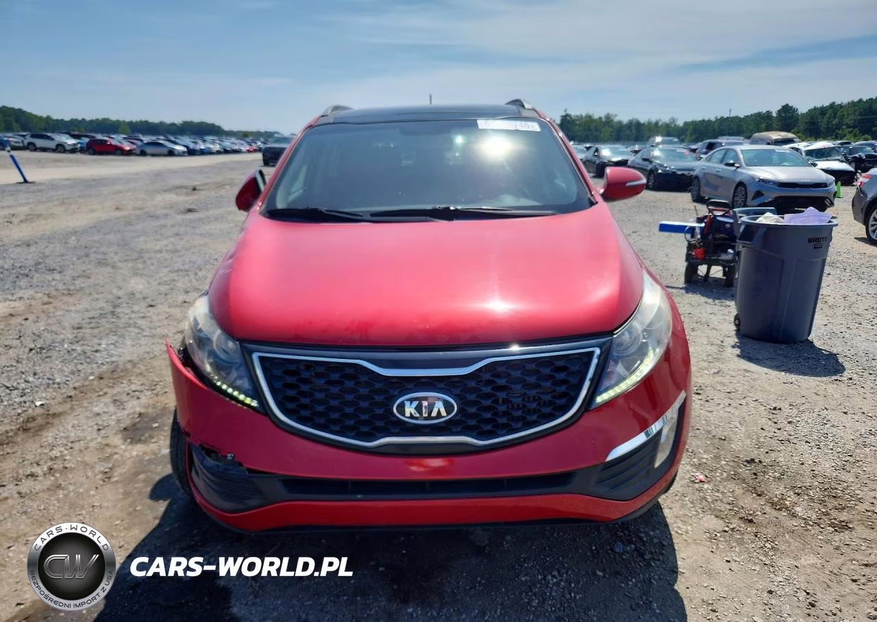 2011 Kia Sportage VIN:KNDPC3A68B7118768 - 5