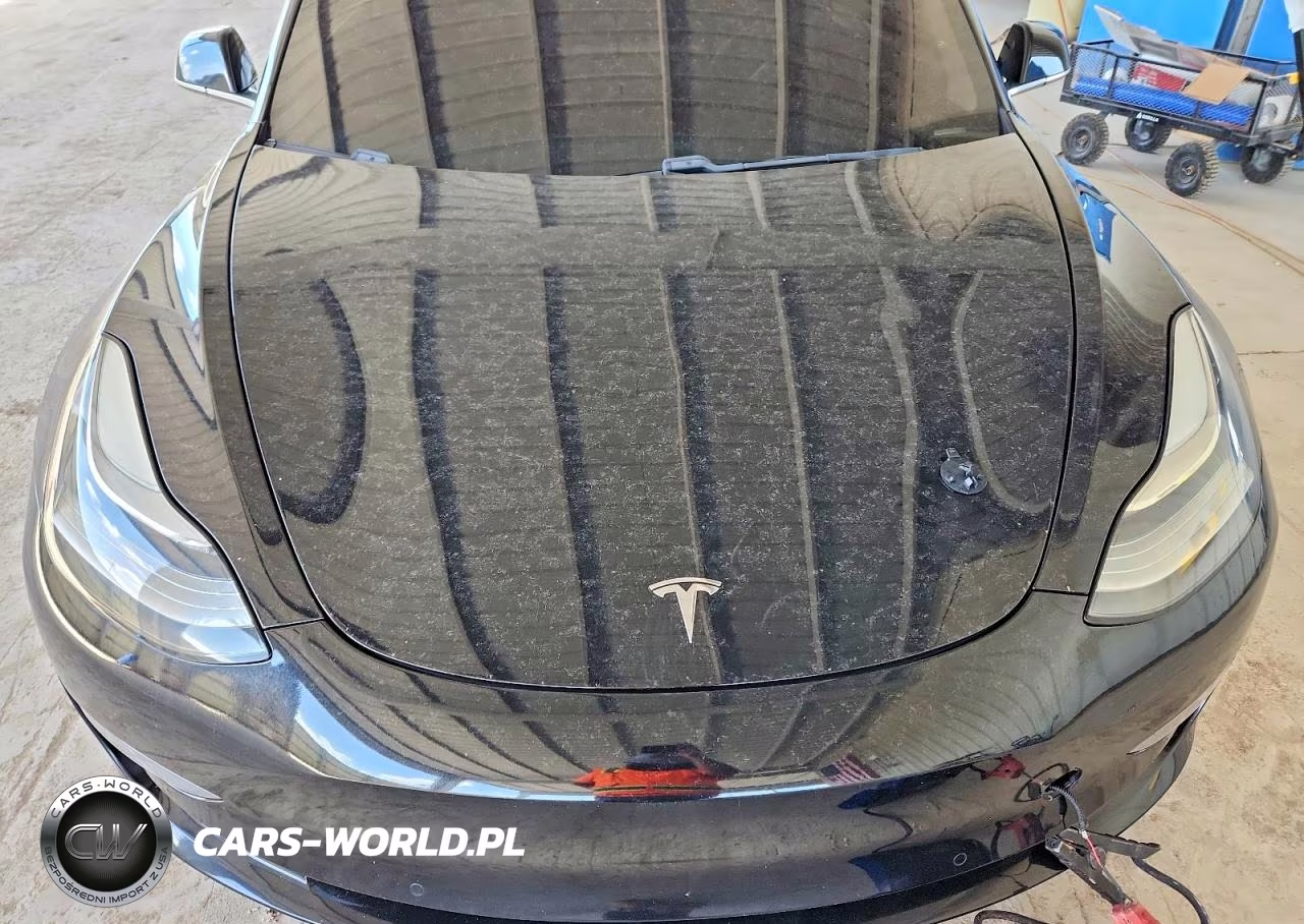 2020 Tesla Model 3 VIN:5YJ3E1EA2LF796598 - 11