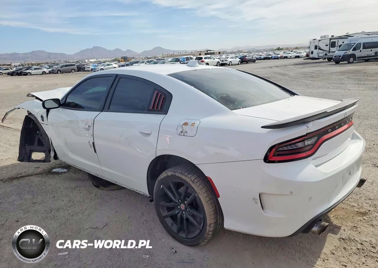 2020 Dodge Charger R-T VIN:2C3CDXCT2LH141530 - 2