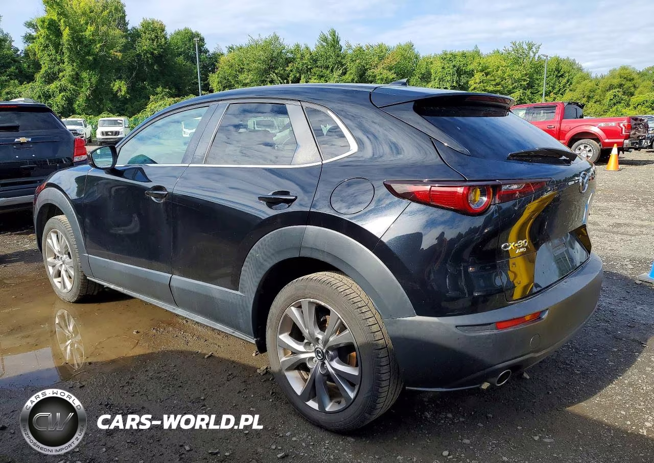 2020 Mazda Cx-30 Preferred VIN:3MVDMBDL5LM130555 - 2