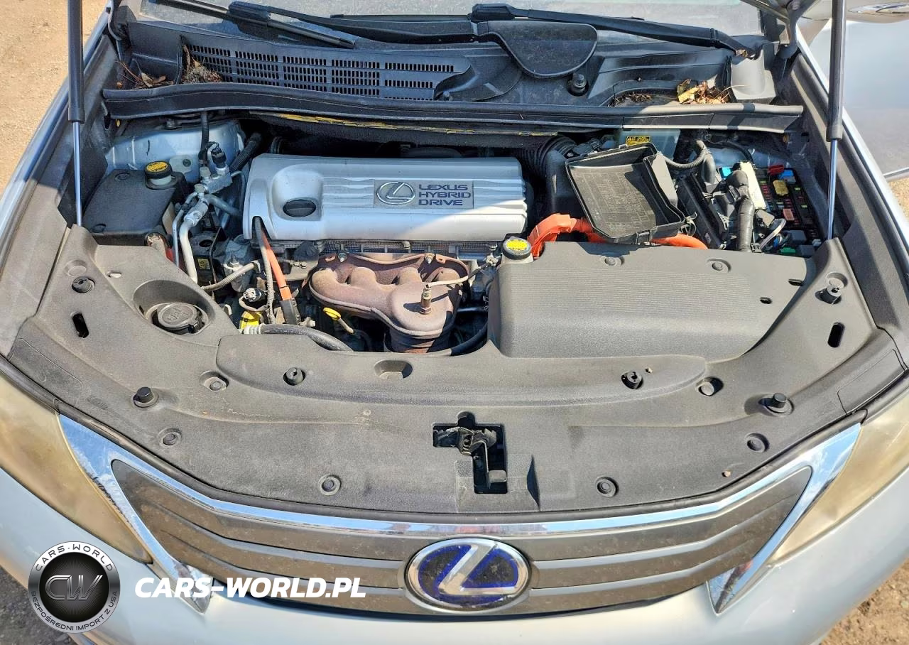 2010 Lexus Hs 250H VIN:JTHBB1BA9A2025966 - 11