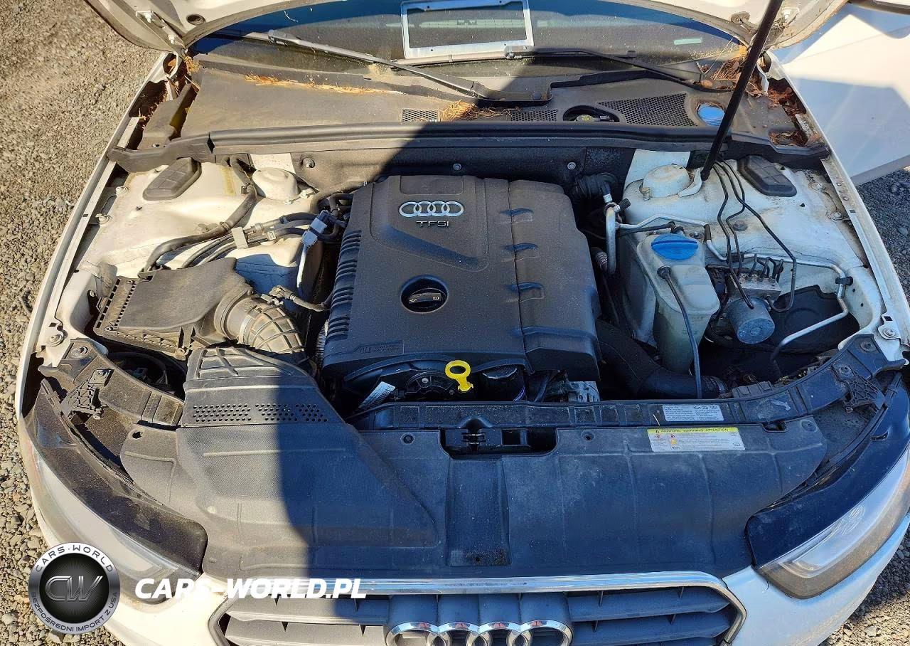 2013 Audi A4 Premium Plus VIN:WAUFFAFL8DN029607 - 11