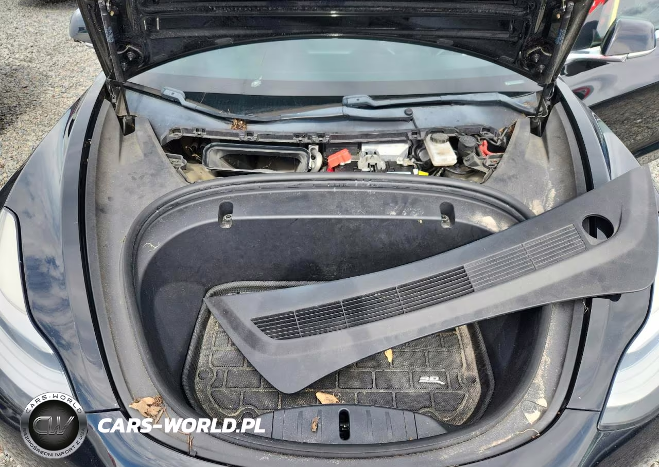2020 Tesla Model 3 VIN:5YJ3E1EA2LF736501 - 11