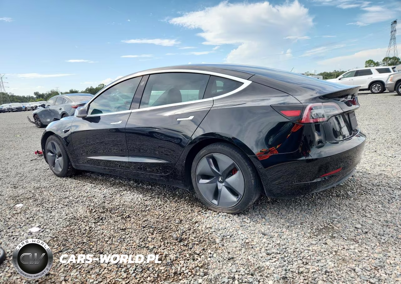 2020 Tesla Model 3 VIN:5YJ3E1EA2LF736501 - 2