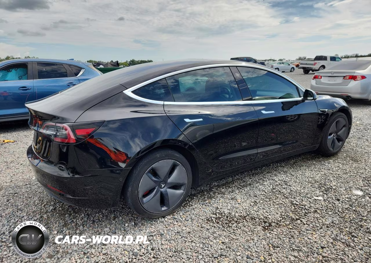 2020 Tesla Model 3 VIN:5YJ3E1EA2LF736501 - 3