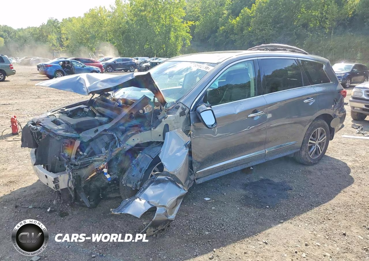 2020 Infiniti Qx60 Pure VIN:5N1DL0MM0LC535799 - 1