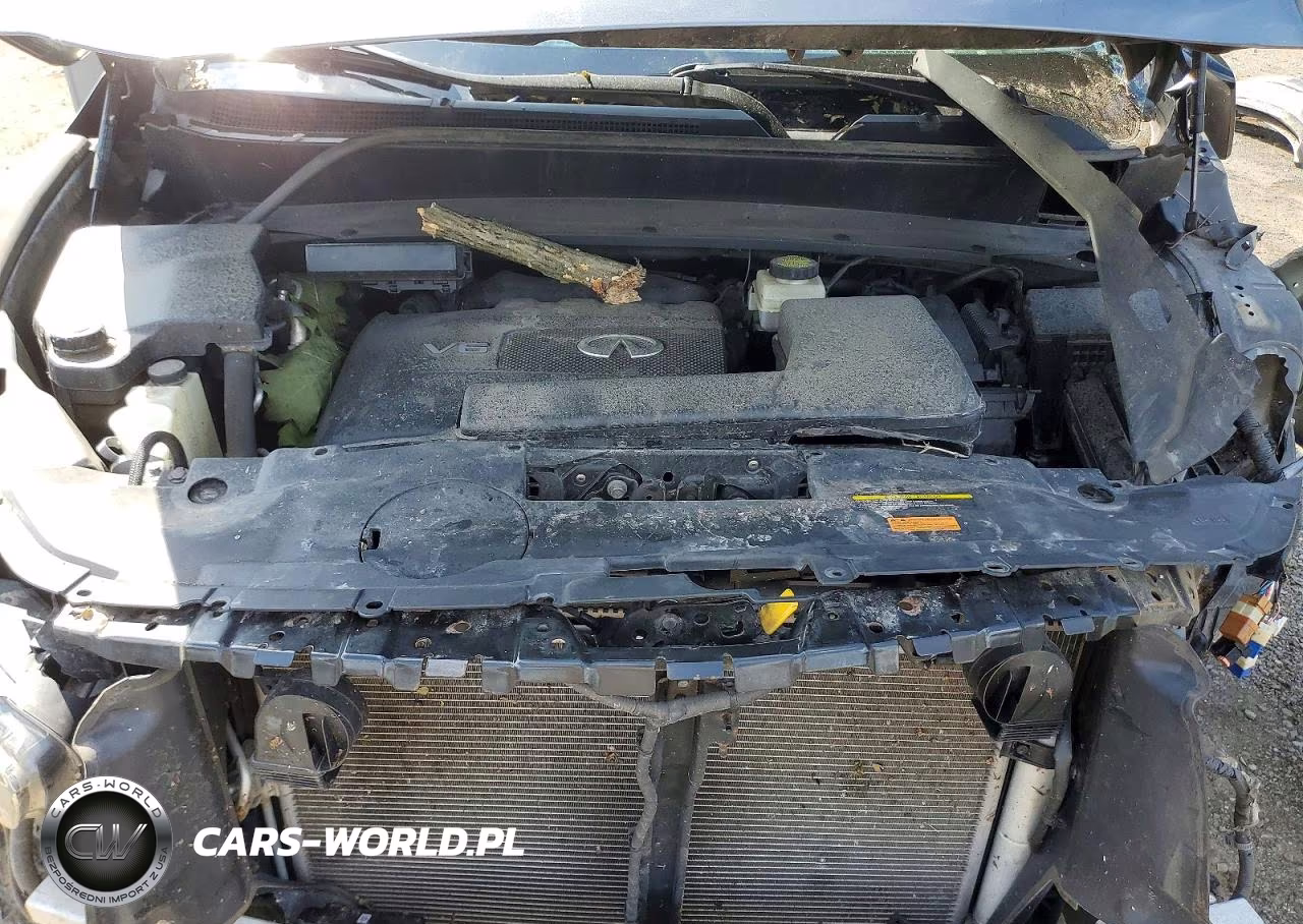 2020 Infiniti Qx60 Pure VIN:5N1DL0MM0LC535799 - 12