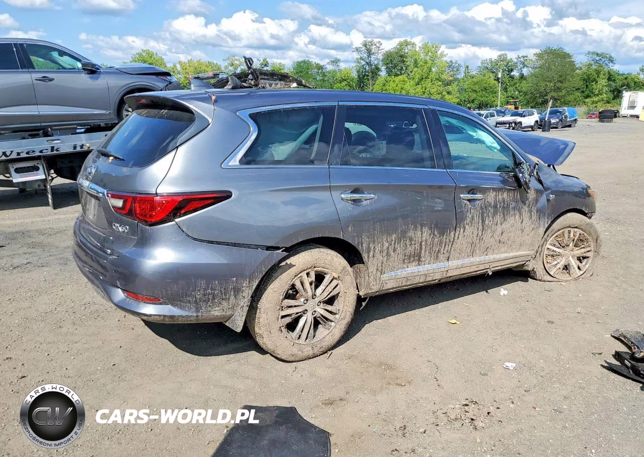 2020 Infiniti Qx60 Pure VIN:5N1DL0MM0LC535799 - 3