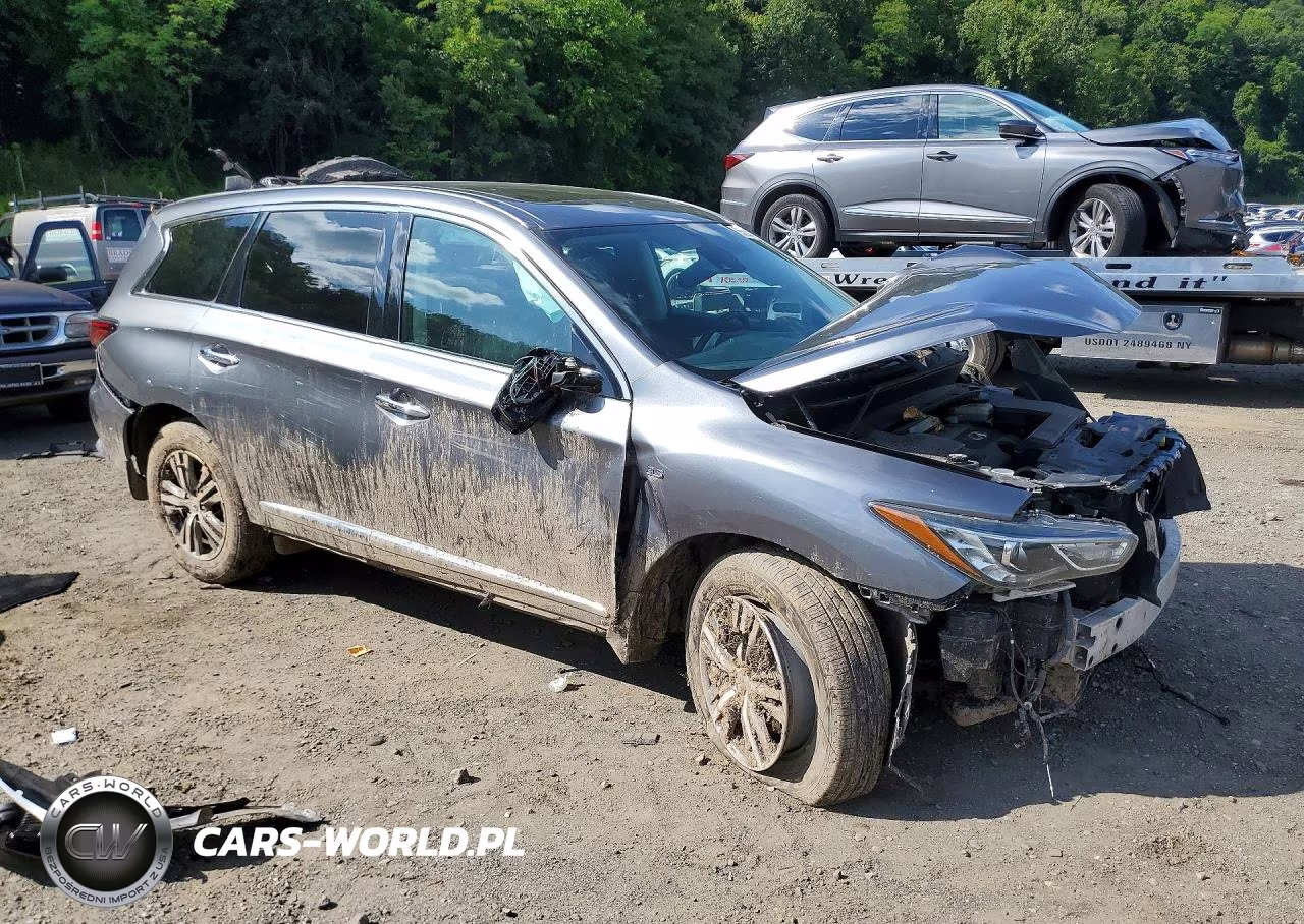 2020 Infiniti Qx60 Pure VIN:5N1DL0MM0LC535799 - 4