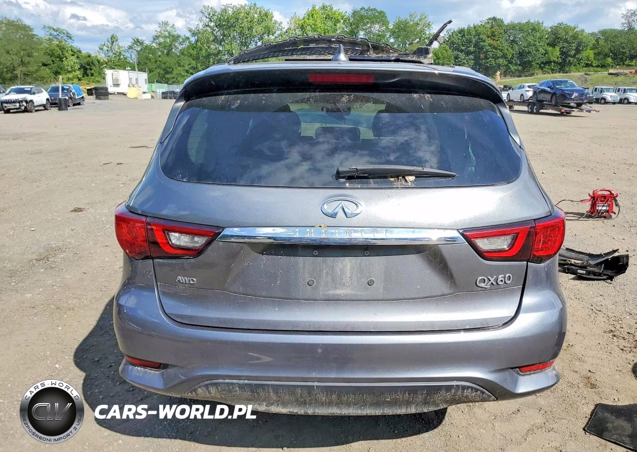 2020 Infiniti Qx60 Pure VIN:5N1DL0MM0LC535799 - 6