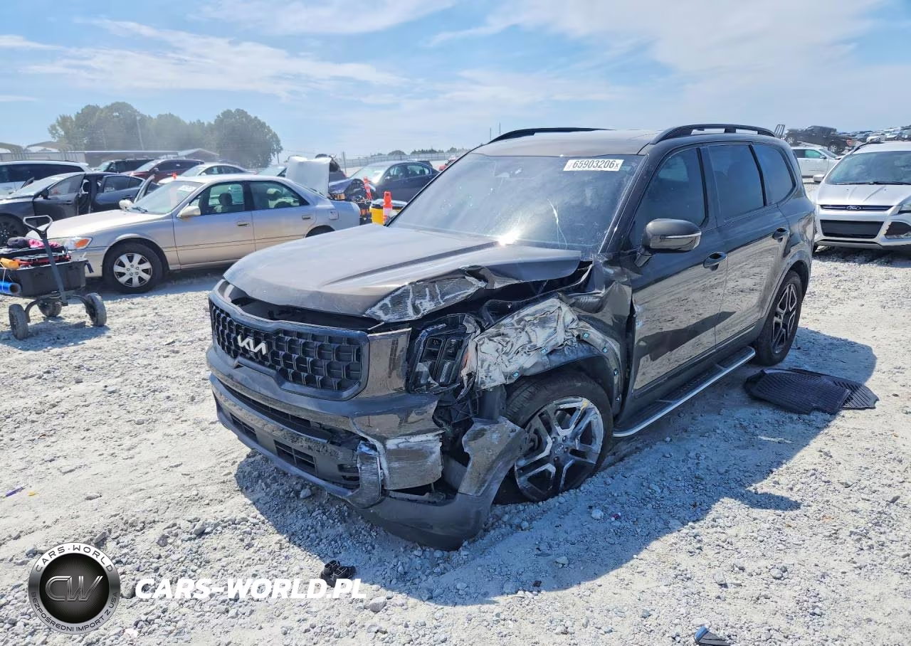 2024 Kia Telluride Sx X-Line